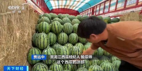 大沥吃瓜 第2张 大沥吃瓜 第2张